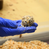 Make Your Own Truffles